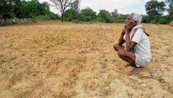 Drought | आंबेगाव तालुक्यात दुष्काळाचे सावट, परिस्थिती गंभीर, पावसाचे पाणी आटले, डोळ्यात दाटले !